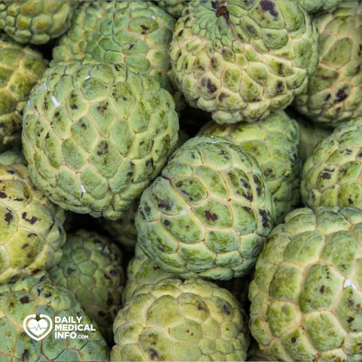 هل تساعد فاكهة القشطة فعلاً في علاج السرطان؟ -بعض الدراسات وجدت أن من فوائد فاكهة القشطة أنها قد تساعد في القضاء على الخلايا السرطانية، فقد أثبتت بعض الدراسات أن مستخلصات فاكهة القشطة كانت قادرة على التعامل مع خلايا سرطان الثدي وسرطان الدم، وتقليل حجم الورم، وقتل الخلايا السرطانية وتعزيز نشاط الجهاز المناعي. 