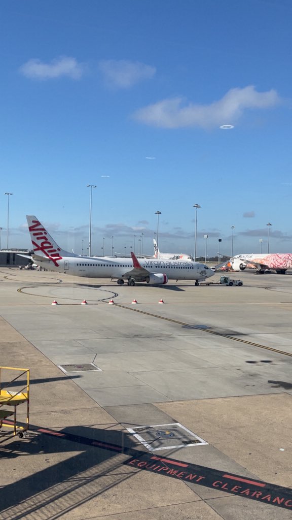 Nels 🫡 tweet media