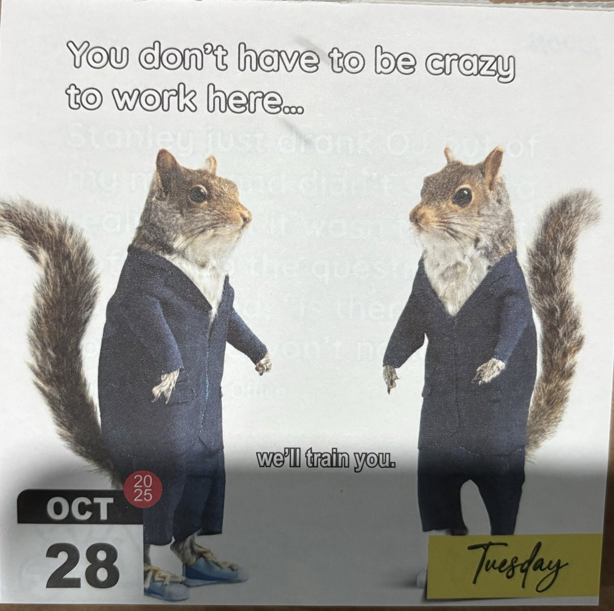 Matt (@jacobs329) on Twitter photo 