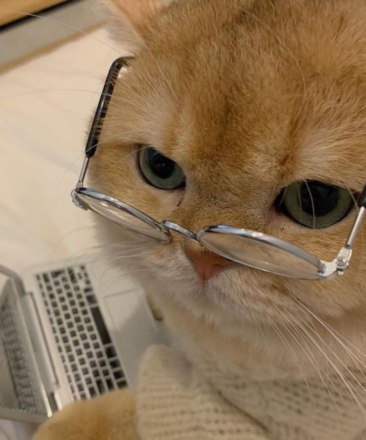 They are working on a startup