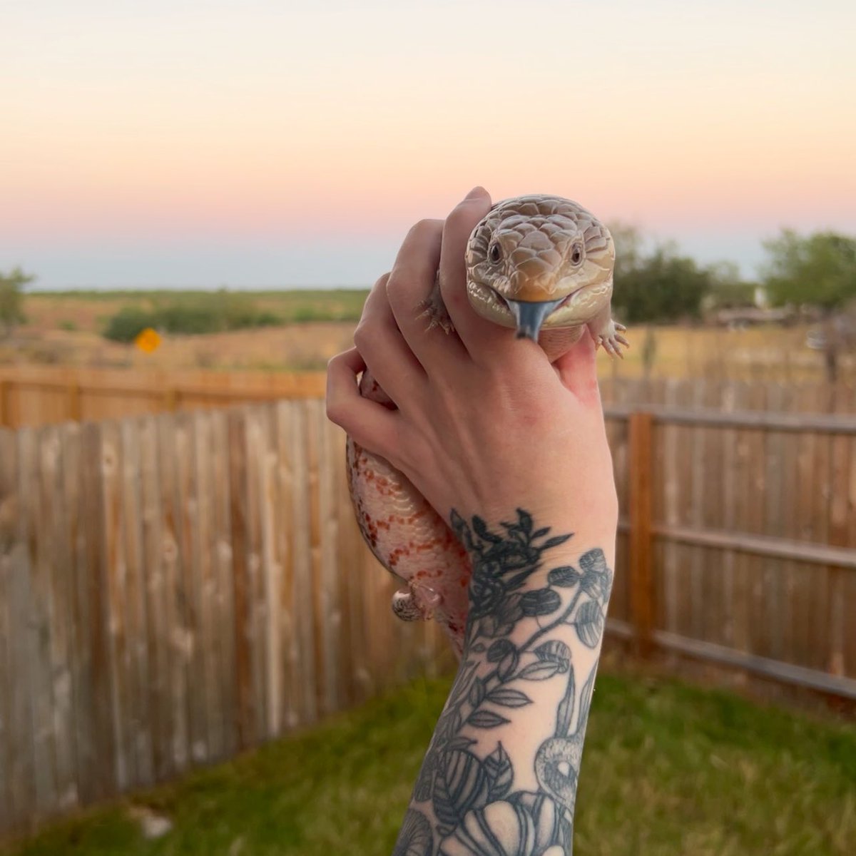 taylorndean's tweet photo. BINDI IS HERE TO BREAK THE “SAY HI TO ___ OR HAVE A TERRIBLE NOVEMBER” POSTS. U DO NOT HAVE TO INTERACT. U WILL HAVE A GOOD NOVEMBER. CURSE BROKEN. https://t.co/cFDMN76RpX