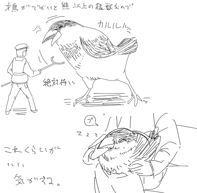 でかい文鳥 