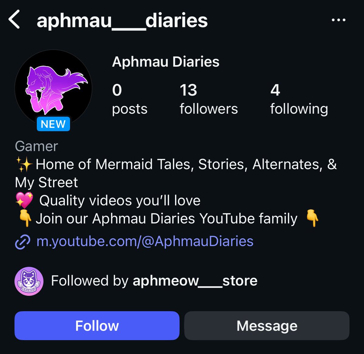 AphtwtUpdates's tweet image. A bunch of new official (?) Aphmau accounts have popped up on Instagram! They all have the same join date (October 2025) and they are all followed by aphmeow__store with similar users. They have no posts yet.

aphmau__diaries, aphmau___shuki, aphmau__games, and aphmau__minecraft!