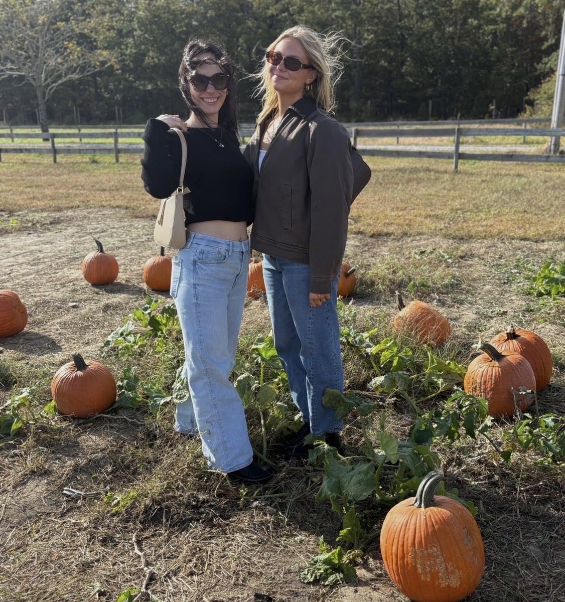 brookesgallery's tweet photo. 🎃🧡 https://t.co/BIfDXKtHhm