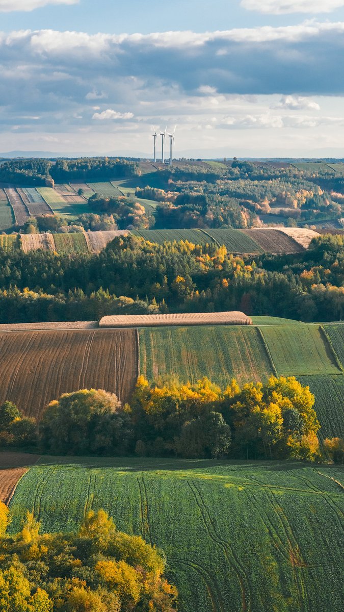 Осень в глаз попала