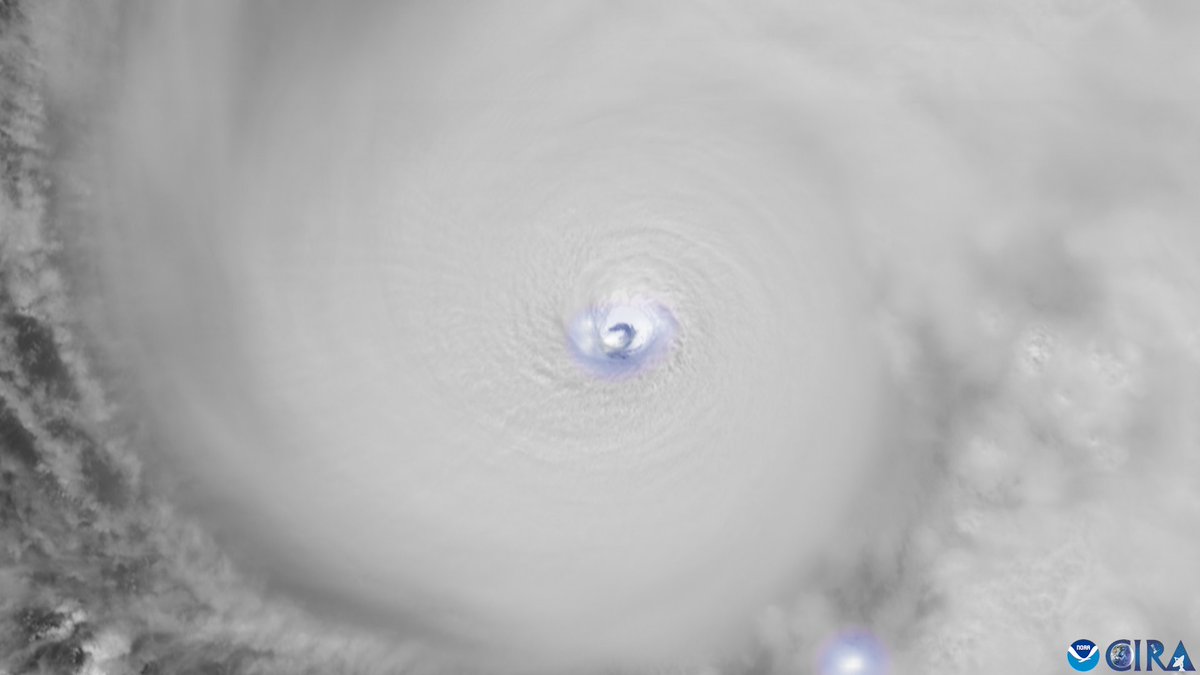 Dr Roberto J. Mera tweet media