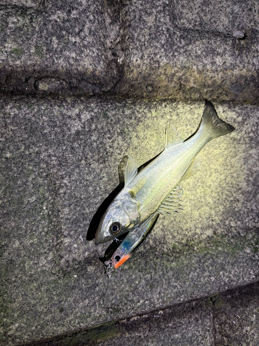 え！？