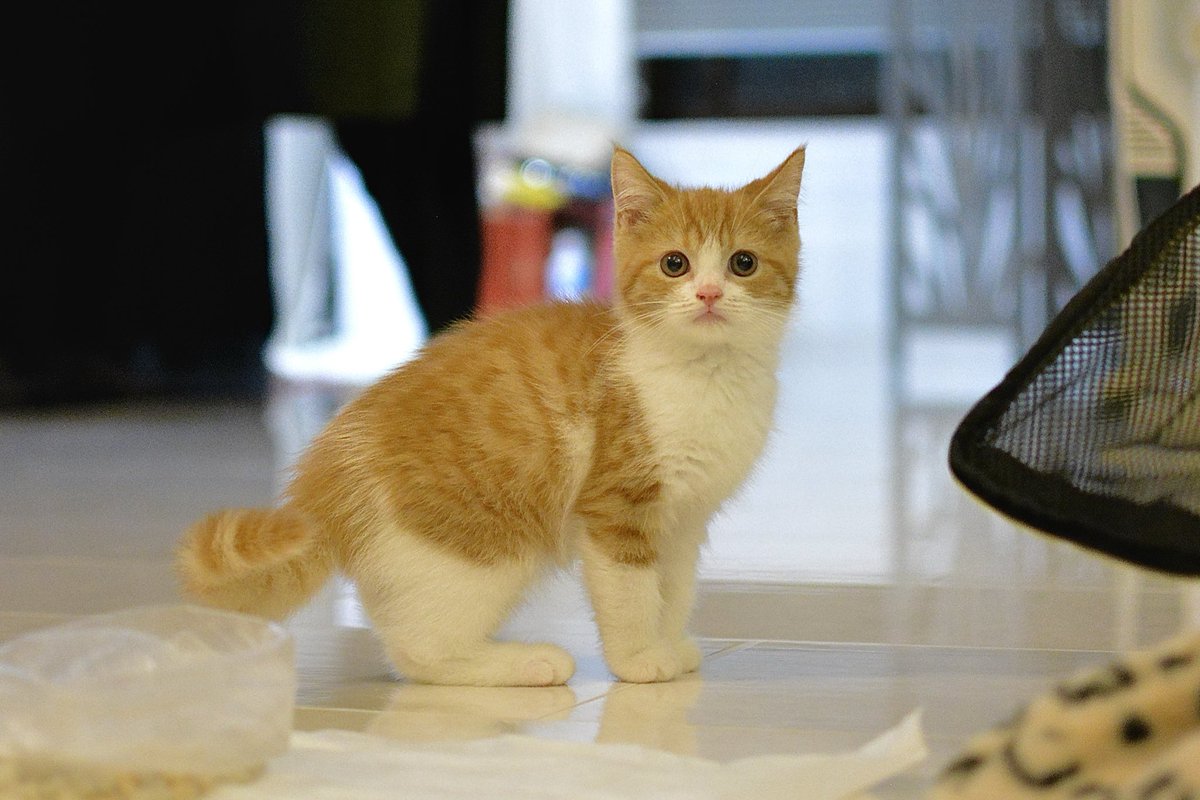 なゆん 由凪（ﾕﾅ）🚗🚴‍♀️🏍 (@z32yuna) / Posts / X