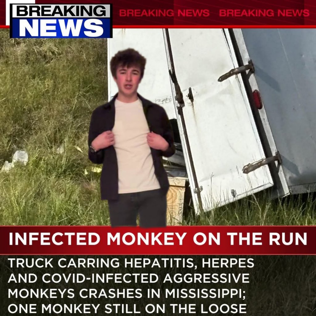 QBallBrasil's tweet image. Bro...just turn yourself in.