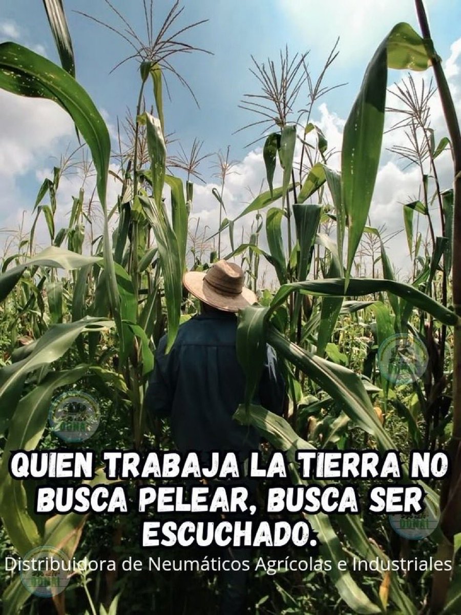 🔴 Es urgente la RENUNCIA de <a href="/JulioBerdegue/">Julio Berdegué</a> ! No le entiende y NO sabe !