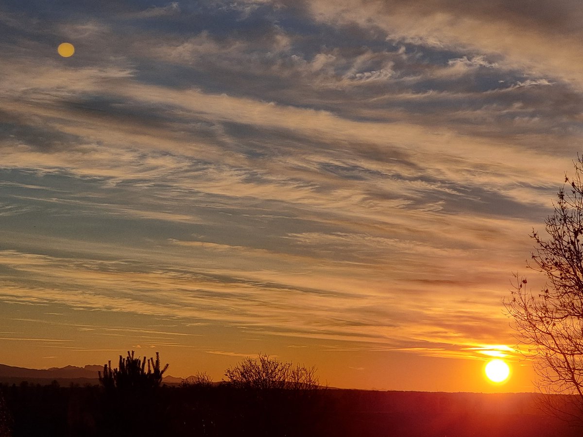 Goldenes Abendleuchten ....