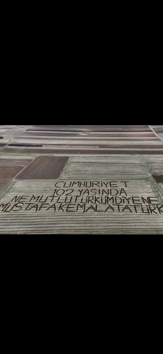 Levent YETKİN 35 on X