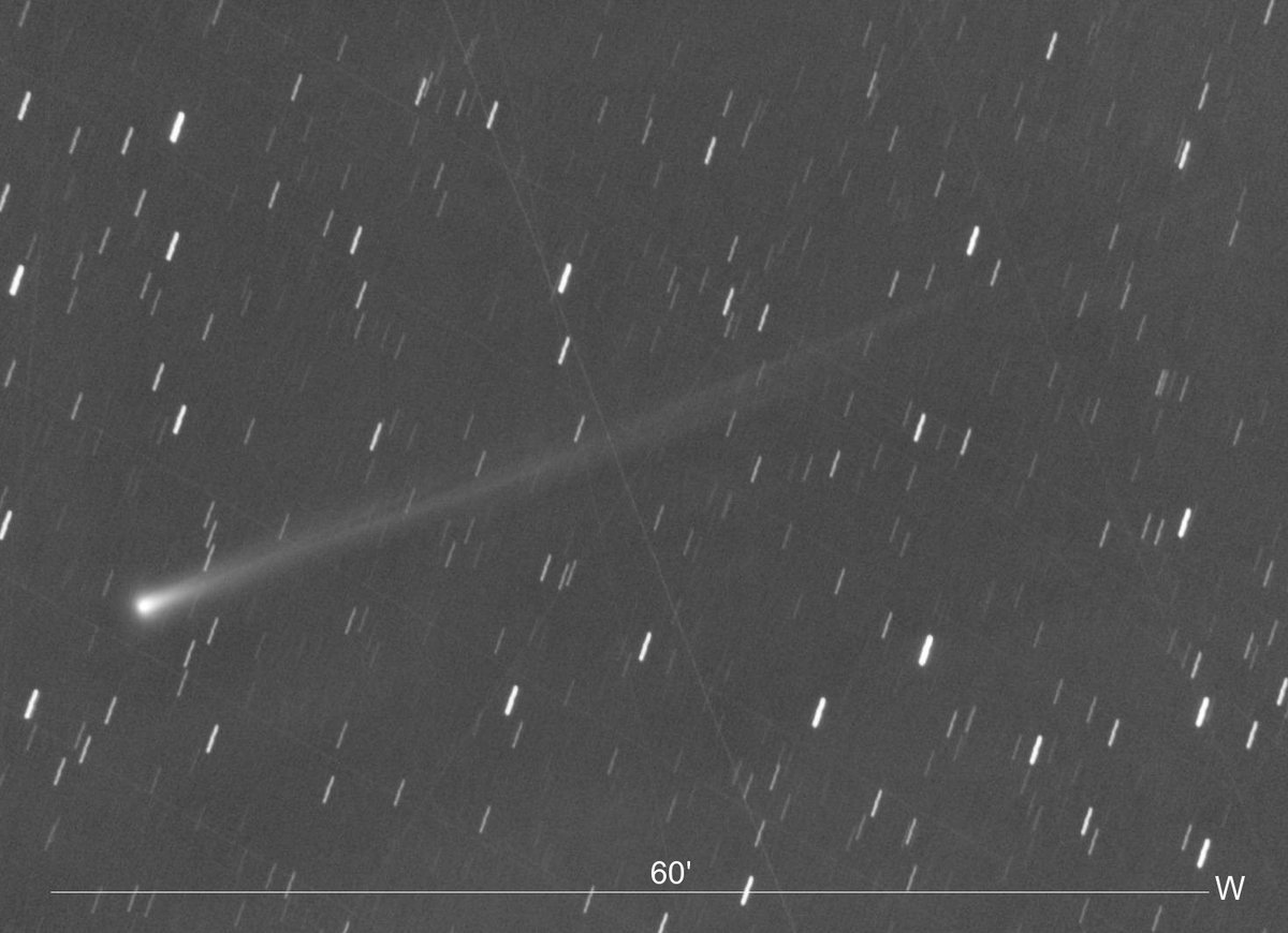 アルテミス　高レート　シークレット 天界の列柱 (Celestial Colonnade) · Doctor Who (WHO) #483