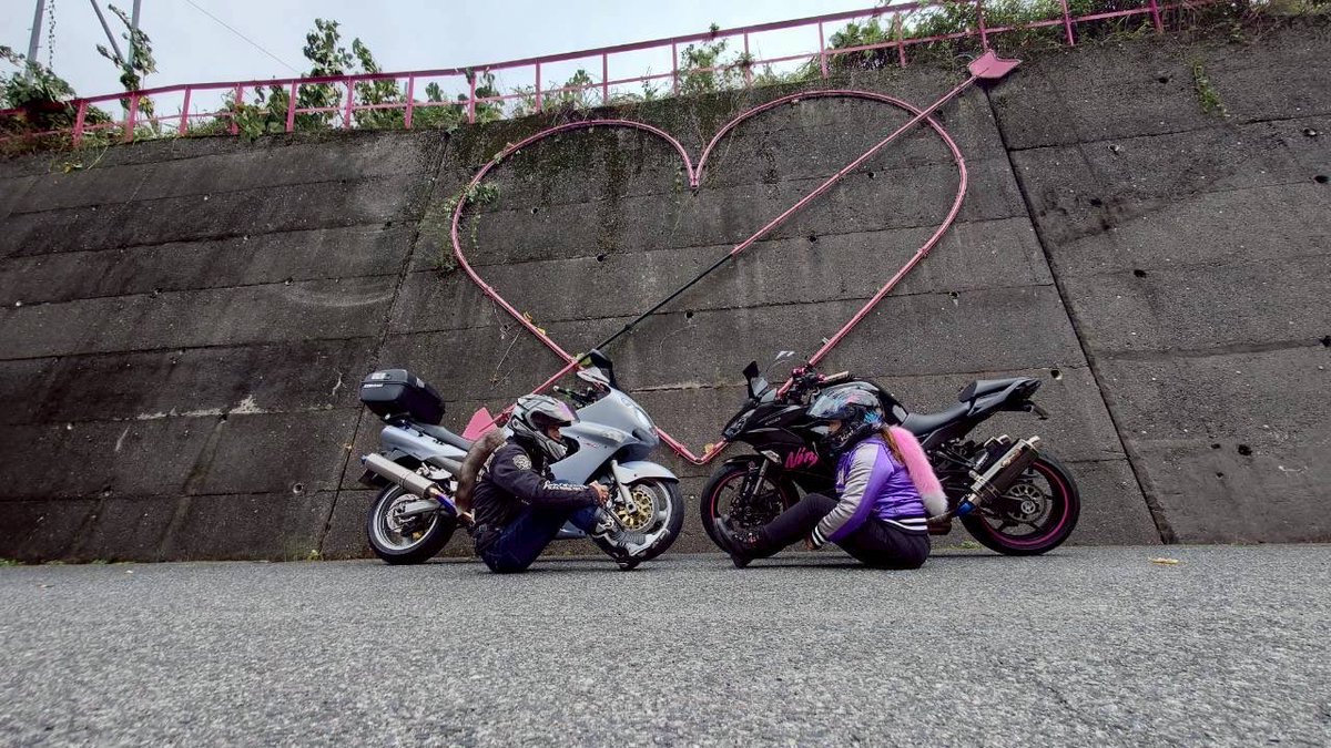 ほわいとベル様確認ページ♡ みーやん@Belle♡Ninja1000♡ on X