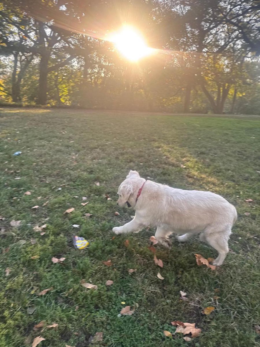 he doesn’t even know what a cryptocurrency is