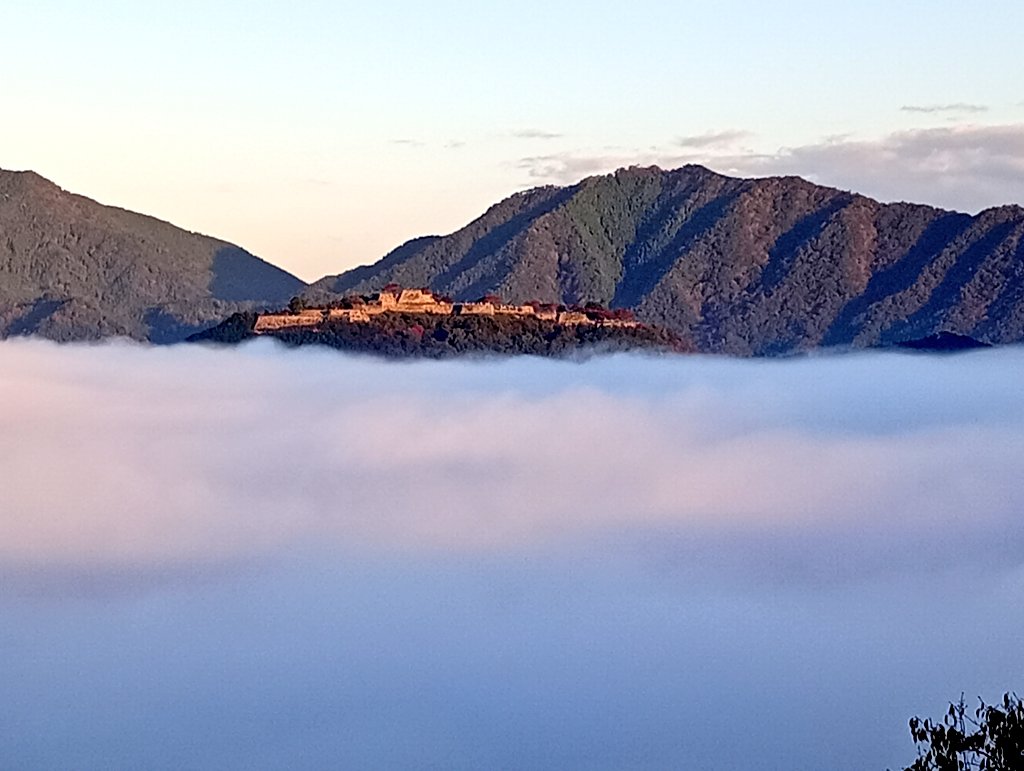 僕きぃㄘゃԽ＊‐ポンコツ店主 (@888ysn) / Posts / X