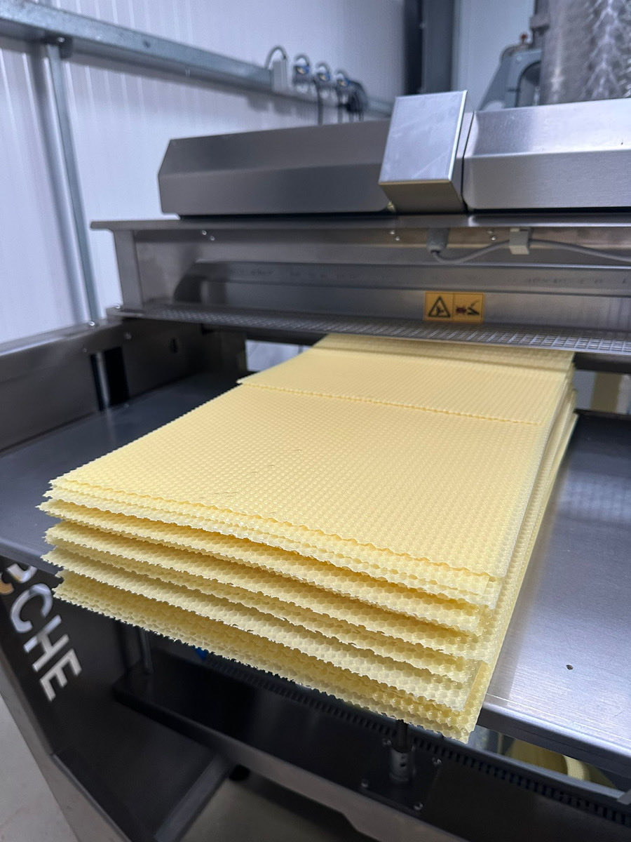 Border Honey tweet media