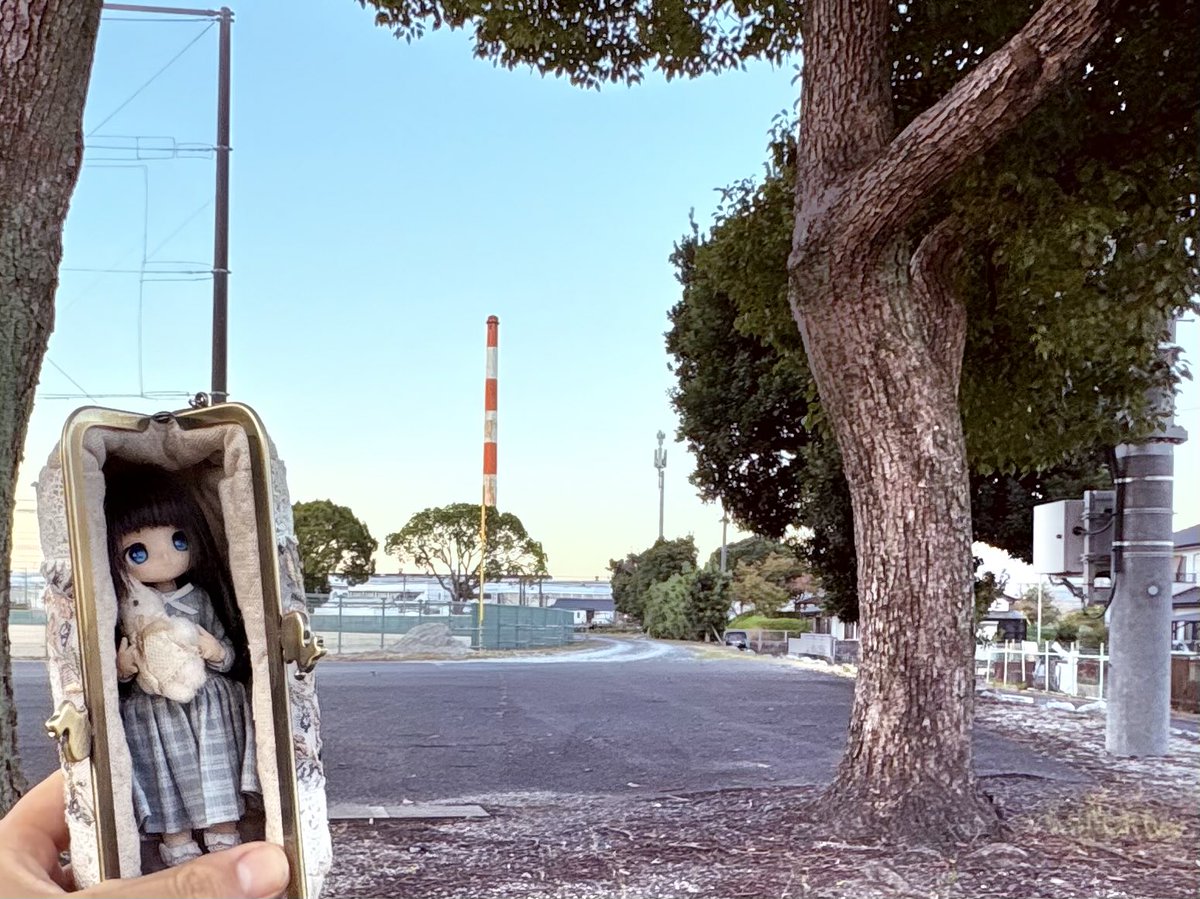 fuku  ページ Fuku on X