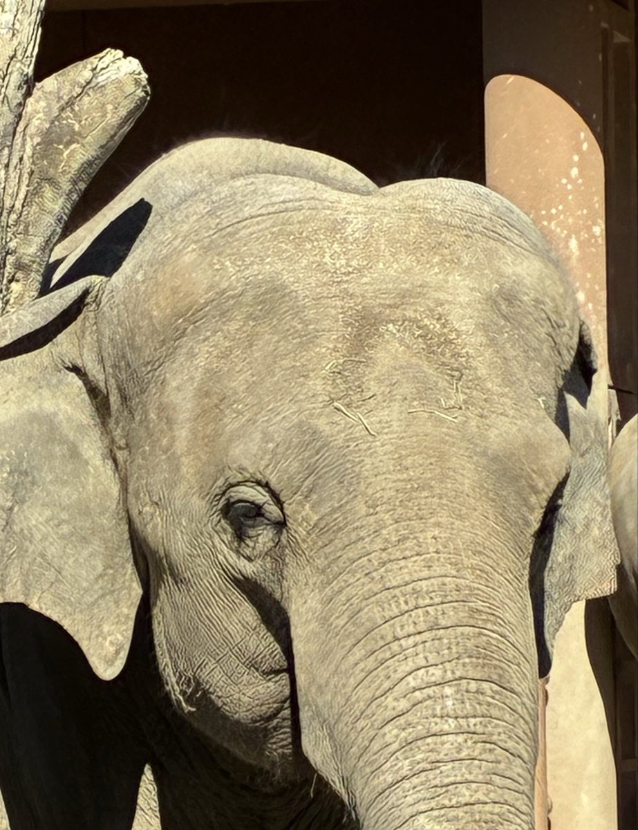 きょうちゃん on X