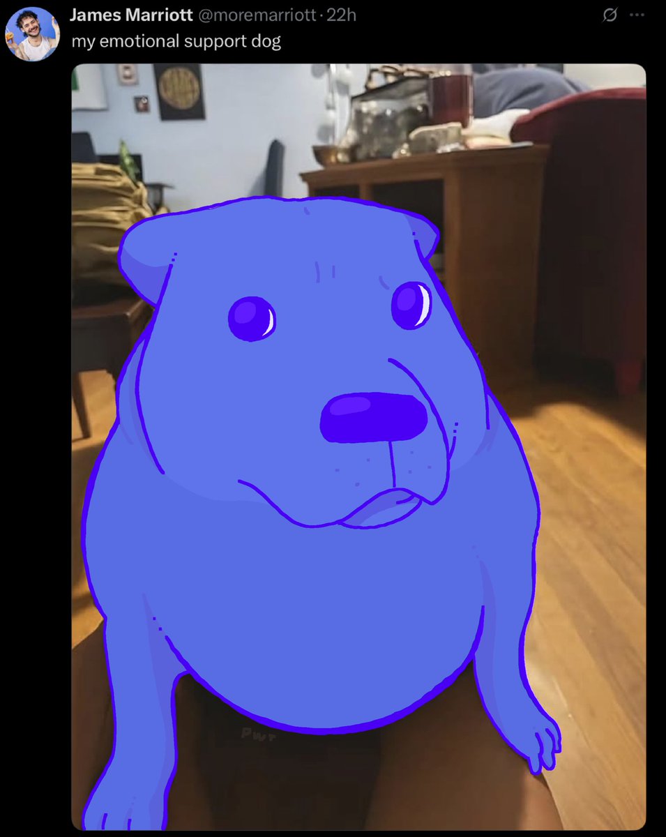 My emotional support dog
#dttd #dttdjasper #jamesmarriott #dttdjasperfanart