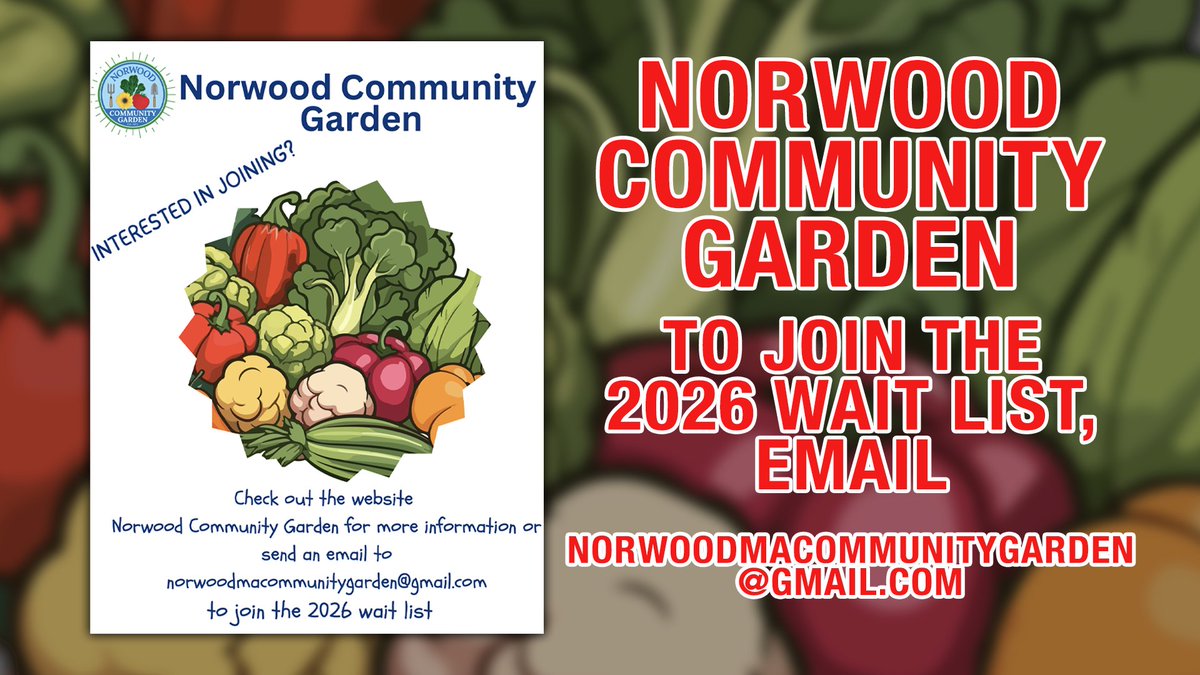 Stay tuned for Norwood News to learn all about how you can get involved in the Norwood Community Garden! 🥦 🥬