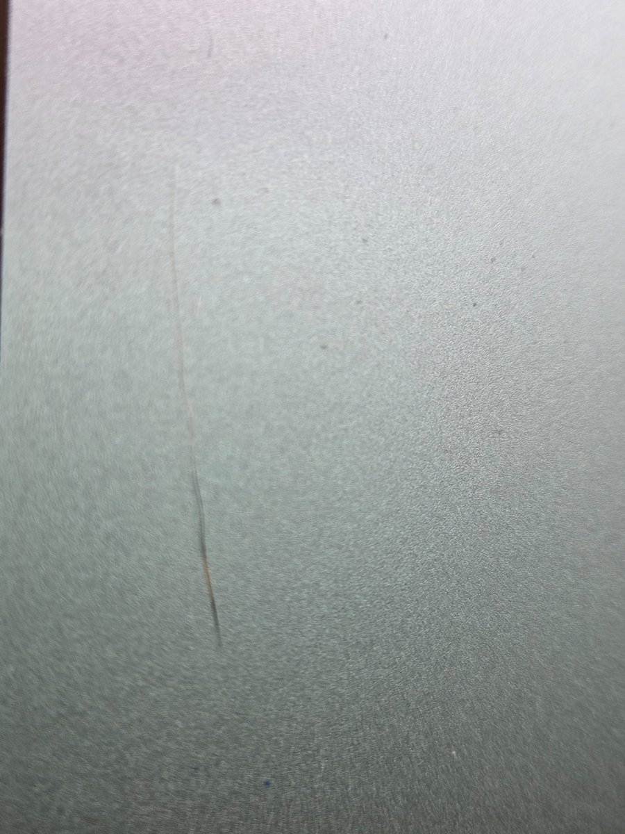 Vedthalegend's tweet image. I had a single white hair on my head that stopped being white. Looks like it went from white to black to red to black again. Lol. Hope it stays that way