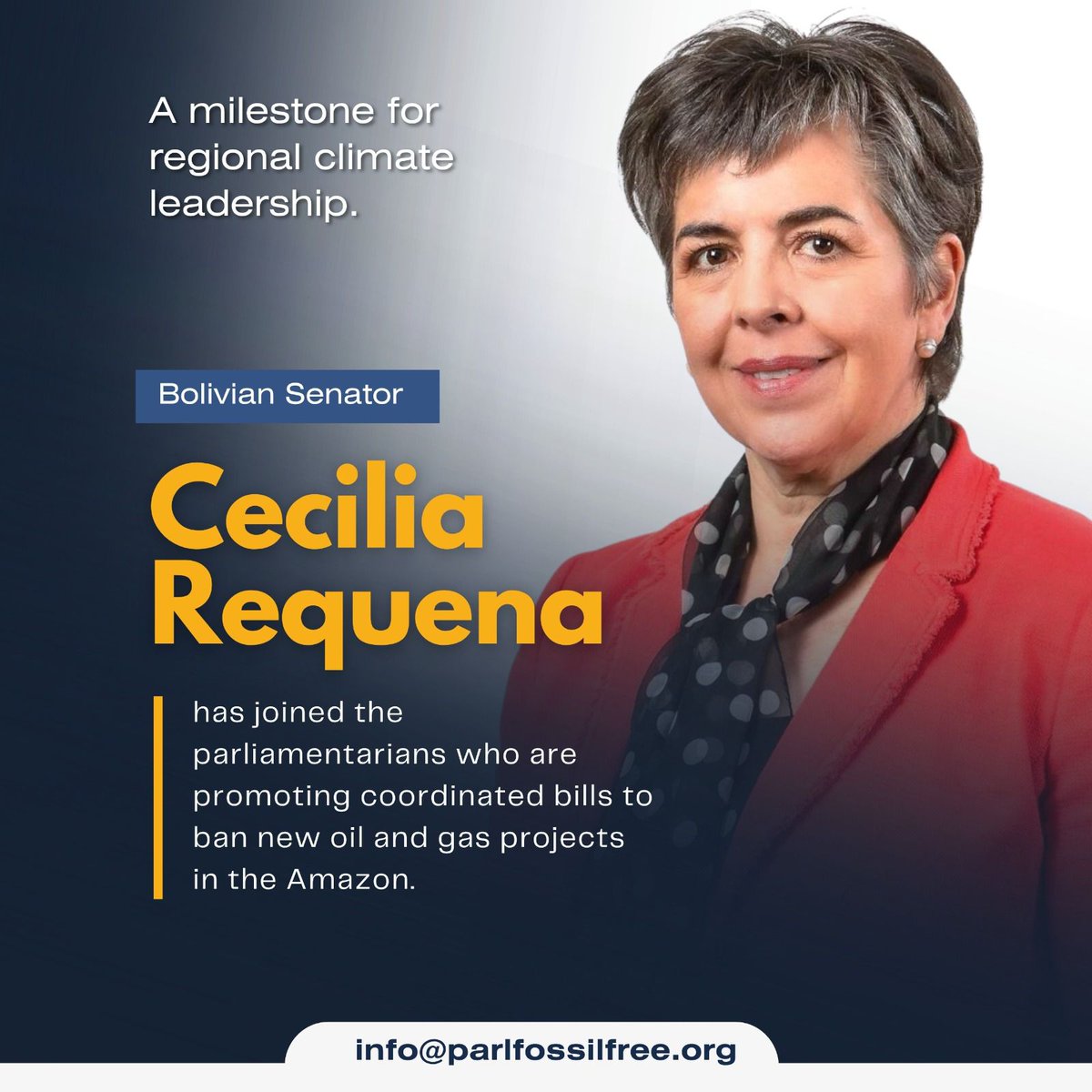 parlfossilfree's tweet image. 🇧🇷 🇨🇴 🇵🇪 🇪🇨 + 🇧🇴 = A powerful step for the Amazon, and for the planet. 

Bolivian senator @SenadoraRequena  joins the courageous group of parliamentarians working to ban new oil and gas projects in the Amazon.

Together with Iván Valente (Brazil), Juan Carlos Losada (Colombia),…