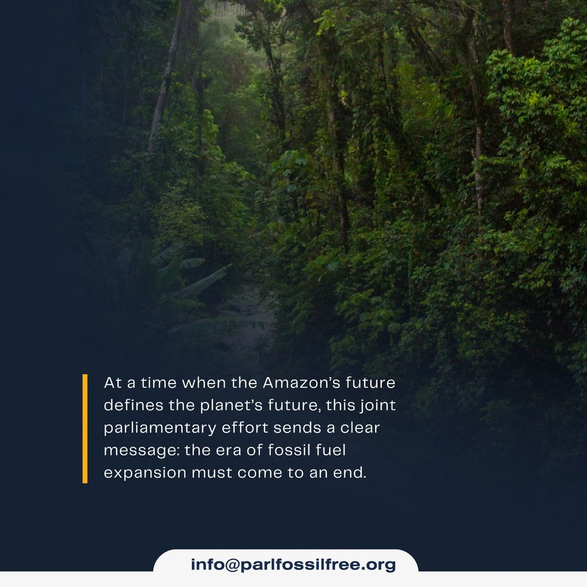 parlfossilfree's tweet image. 🇧🇷 🇨🇴 🇵🇪 🇪🇨 + 🇧🇴 = A powerful step for the Amazon, and for the planet. 

Bolivian senator @SenadoraRequena  joins the courageous group of parliamentarians working to ban new oil and gas projects in the Amazon.

Together with Iván Valente (Brazil), Juan Carlos Losada (Colombia),…