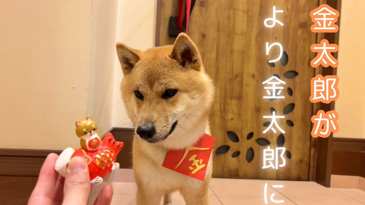 金金兄弟【金太郎and金次郎】 (@kintaro_kinjiro) / Posts / X