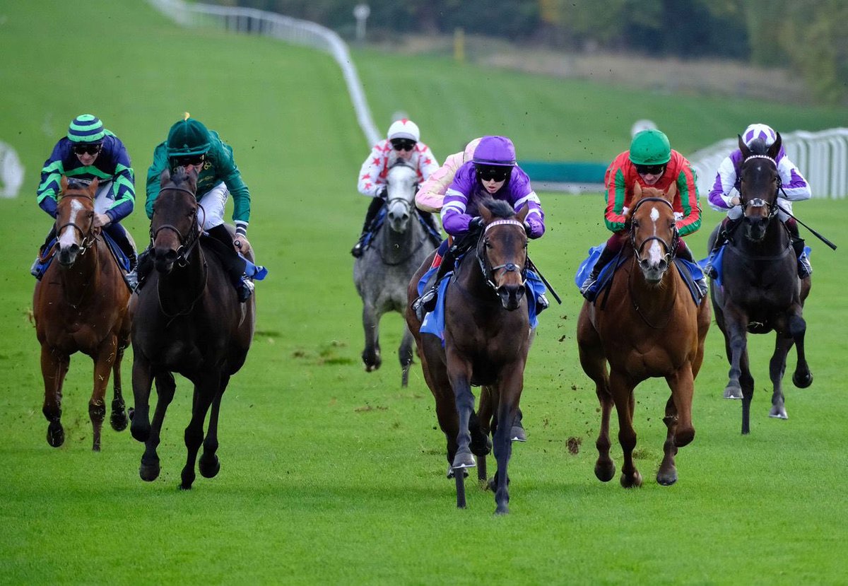 grace mcentee tweet media