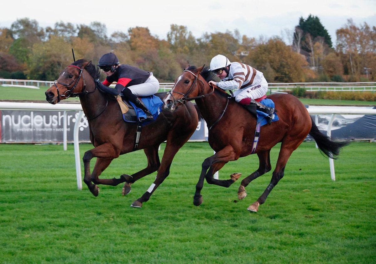 grace mcentee tweet media