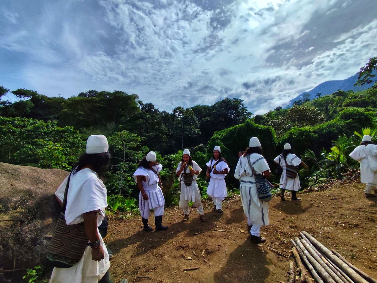 UnidadVictimas's tweet photo. La @UnidadVictimas realizó la entrega de plantas medicinales en #Dibulla, #LaGuajira, al pueblo Arhuaco de Atigumake, fortaleciendo su medicina tradicional como acción reparadora en el marco de la implementación del Plan Integral de Reparación Colectiva. https://t.co/dYmkItfFVB