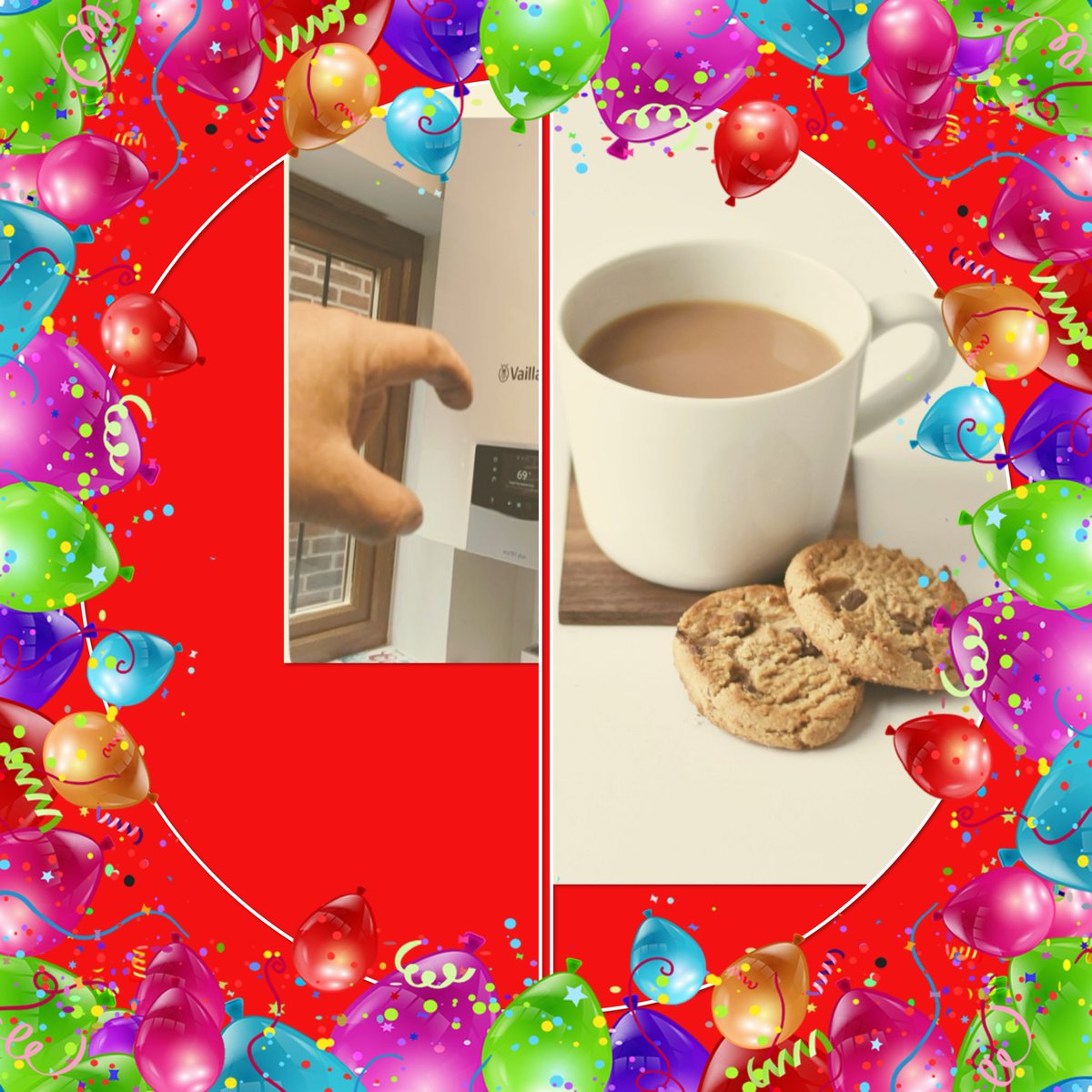 eileen ross tweet media