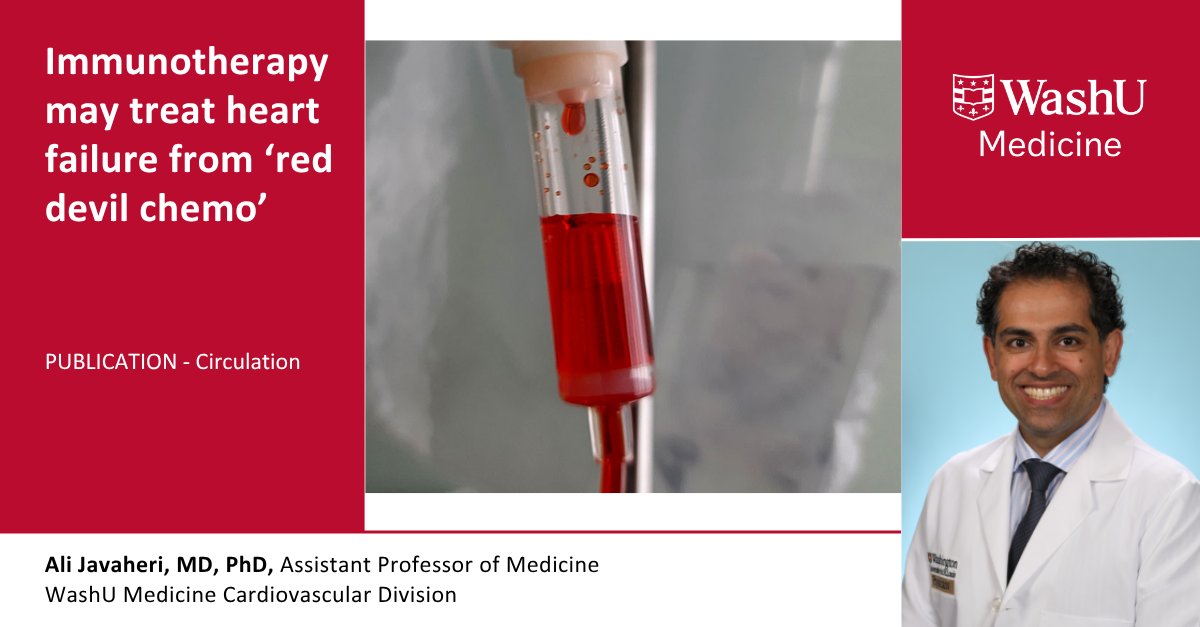 WashU Medicine Department of Medicine tweet media