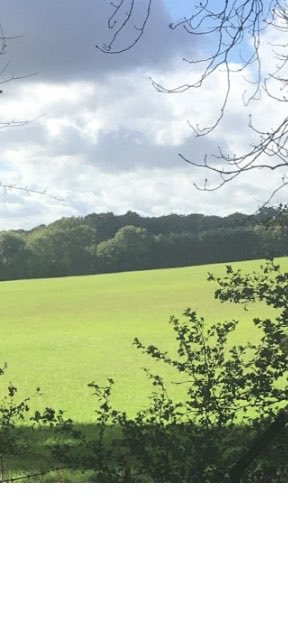 Please sign the petition asking for a review of the “grey belt” definition..over 36K people have now signed 👏 we need to get to a 100K for a debate in parliament. 
How is this “ grey belt” <a href="/UKLabour/">The Labour Party</a> ? 
share.google/cY6s8pdtJl5QaQ…

#PeoplePowerOurPower
#SaveourGreenbelt