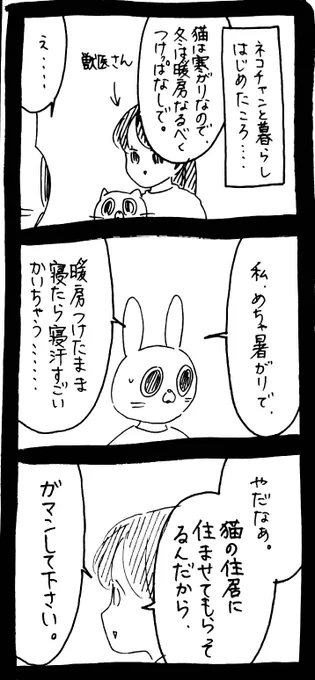 猫の住居 