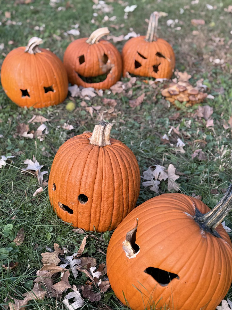 David Alexander Willis tweet media