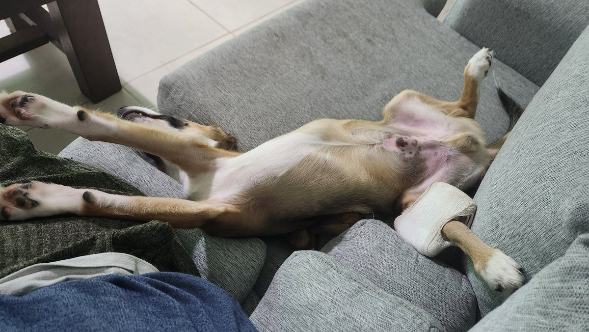 Cuando no te preocupa si llegás a fin de mes