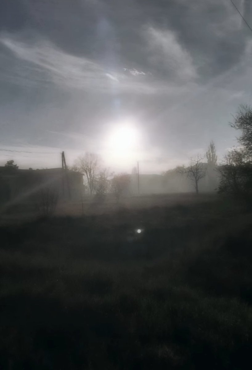 ForestOahu's tweet image. Some call it wood wide web, some call it web4. The point is, this is what the internet should feel like, but maybe it's sometimes better not to recreate creation.