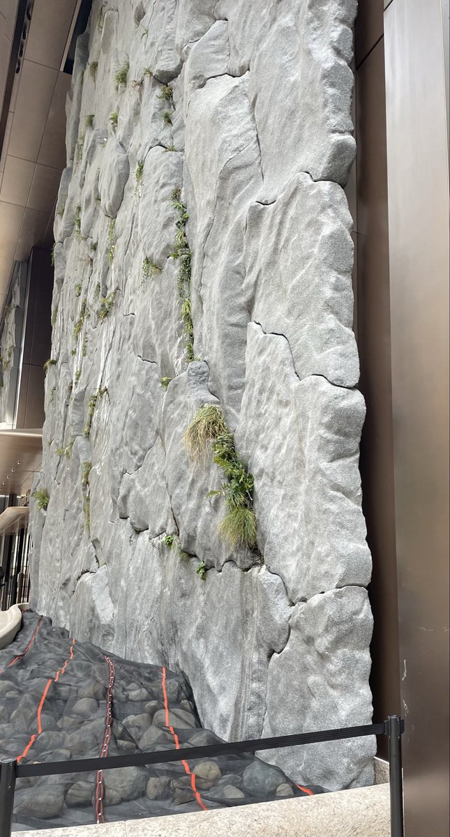 Benjamin Miller tweet media