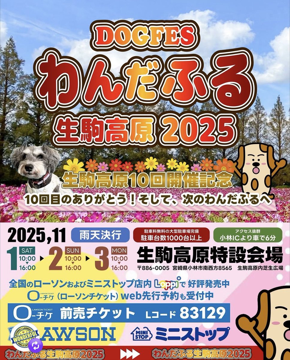 山口英明・アロハヘブン・Good morning 山口玲香のDOOG MORNING🐾 on X