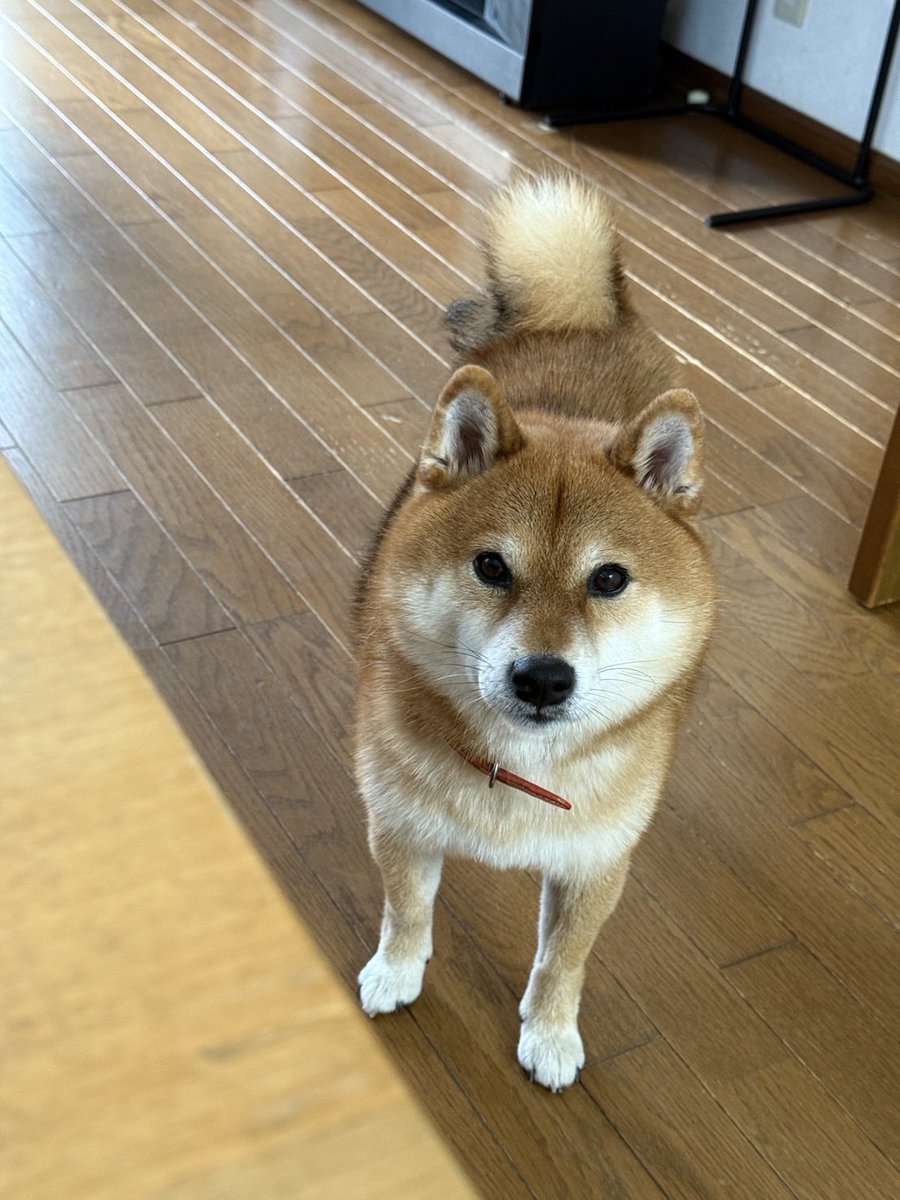 tora&senjiro (@etnOFyWNlBQUcx1) / Posts / X