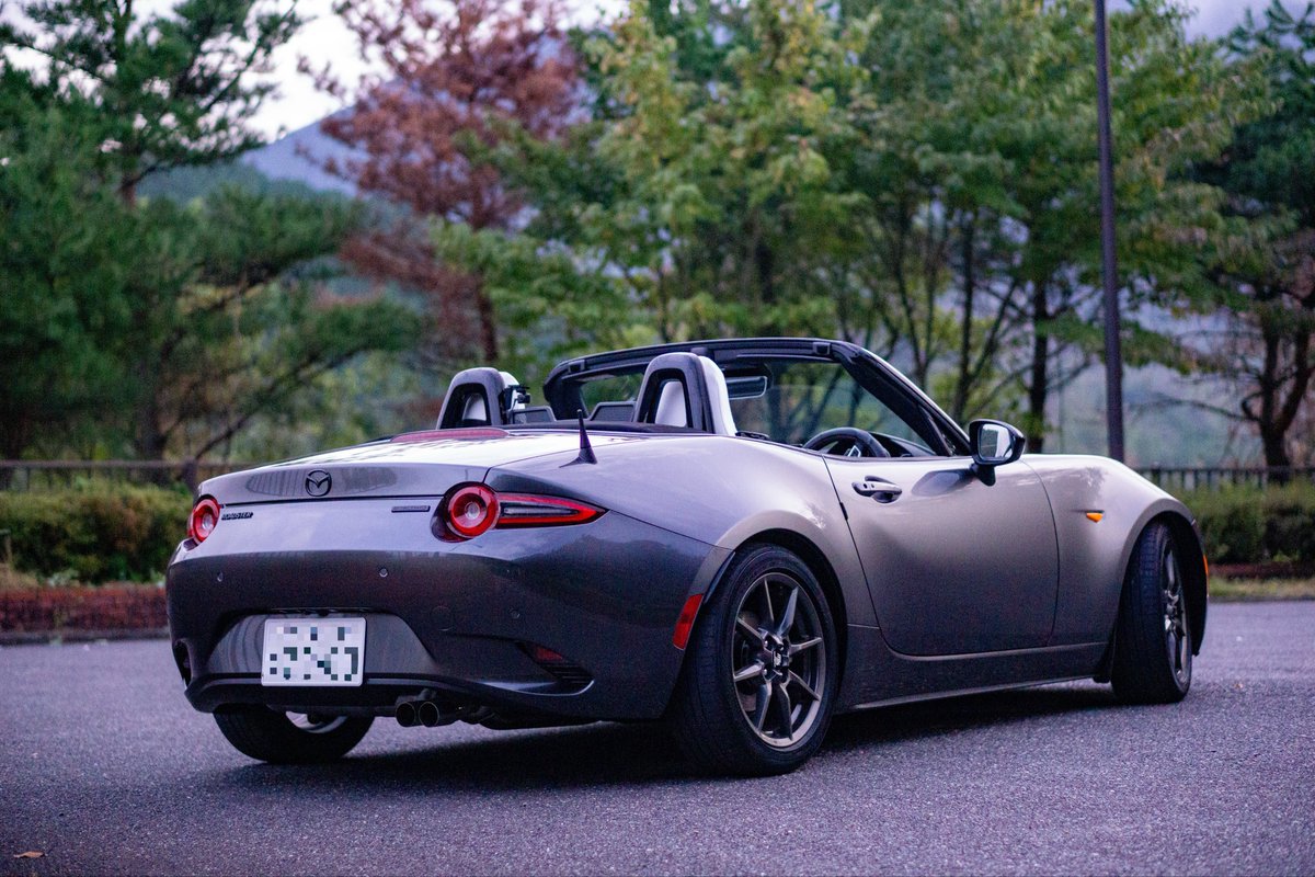 nd_tyk72's tweet image. #これみたらハンドル切って斜めに撮った画像を貼れ
後ろから（そっちかいっ\ʕ•̫͡•）