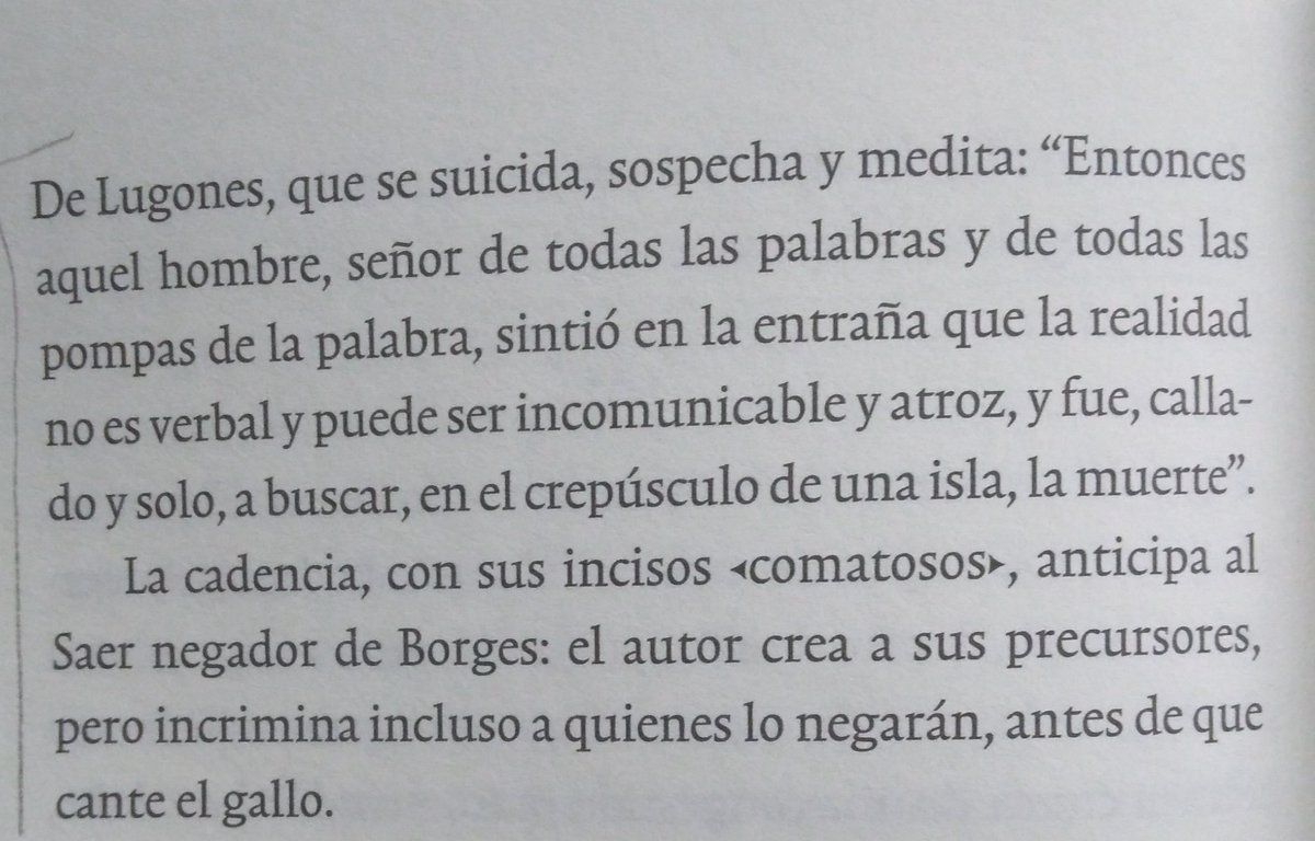 Diego Zappa tweet media