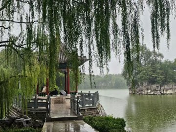 impressivePR's tweet image. Sometimes nature is all you need. So don’t forget to enjoy some level of nature today. 🌿🍃