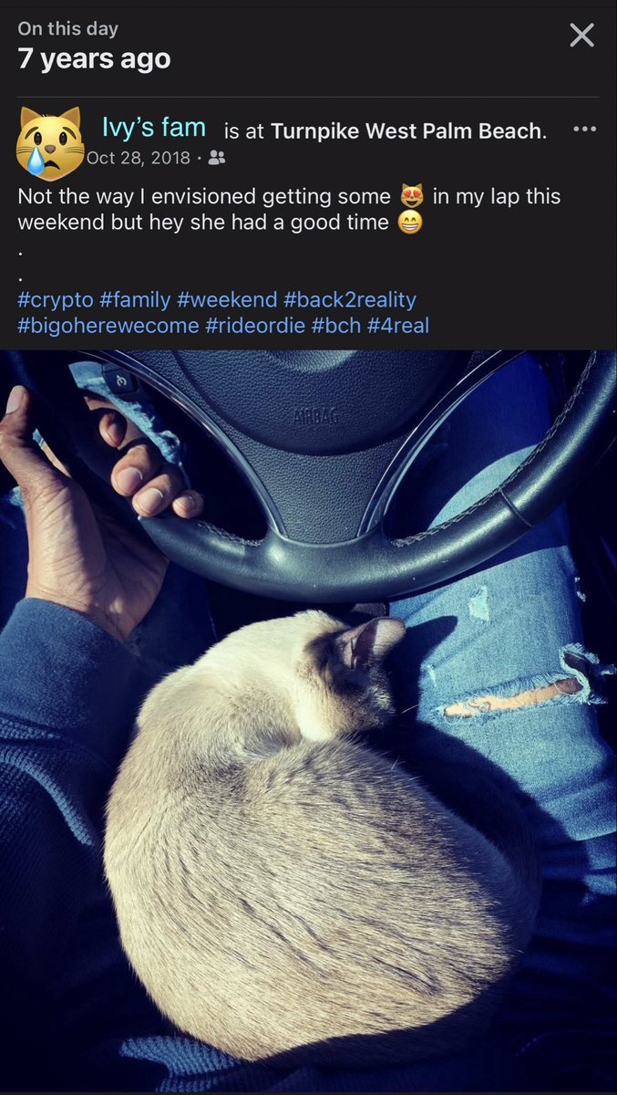 TheRealNomics 😼🚀 tweet media