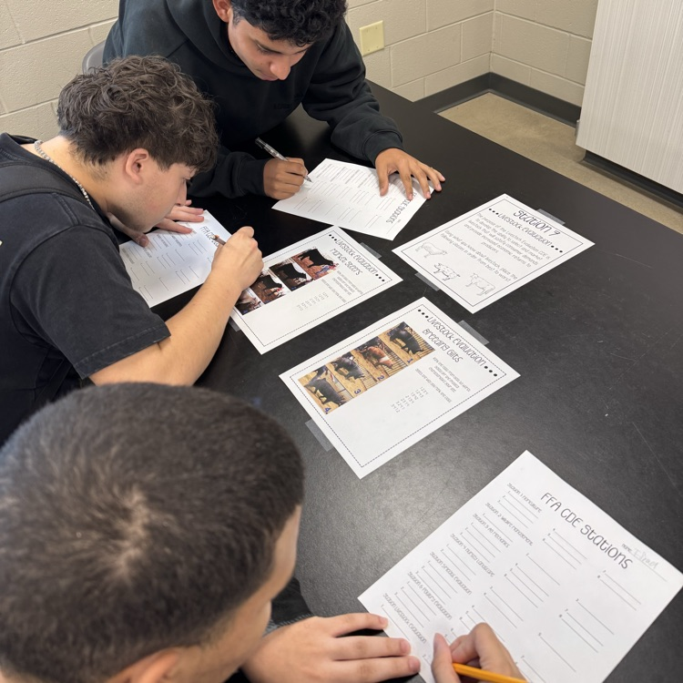 Intro to Agriculture students are exploring the different FFA Career Development events through a Mock CDE activity.  Doing to Learn and Learning to Do.

#loveservecare4people❤️