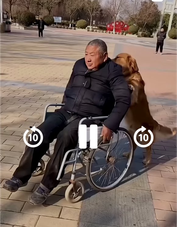 CelesteSaenzM's tweet image. A dog’s love is like no other youtube.com/shorts/hsjqFgS… vía @YouTube #Limusina 💖 #AlmasConCuerposDiferentes #CompañerosDeVida 🐶🐱🐷💞 #DogLovers  Son mucho, mucho más que #Mascotas