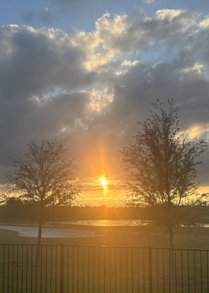 Jerry Ness tweet media