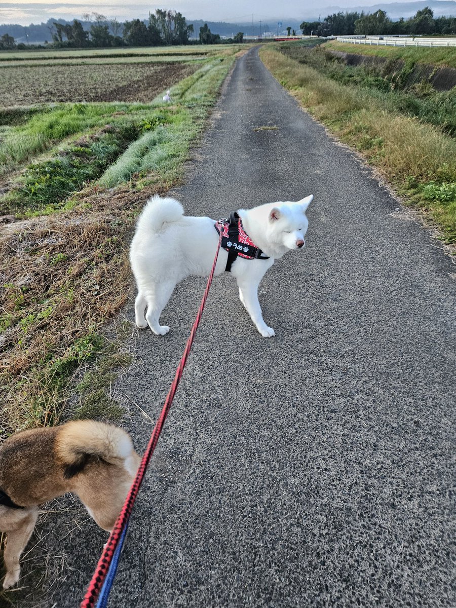 昨日のおばあちゃんとbabyうめさんの写真にたくさんのいいねやコメント